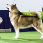 299080257_10228762917116436_7709880659094906409_n