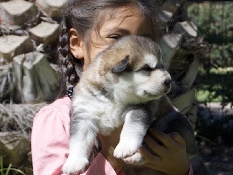 92E5EB46-0866-49F2-84A1-AF71500696F2_4_5005_c