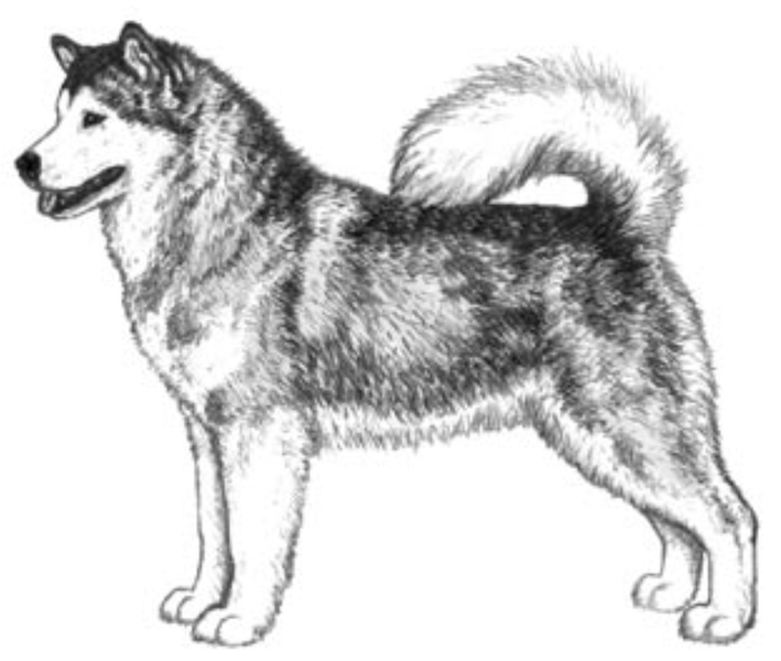 Captura de pantalla 2023-03-06 a la(s) 19.18.13