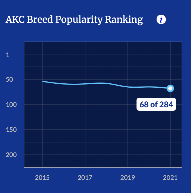 Captura de pantalla 2023-03-07 a la(s) 18.19.13